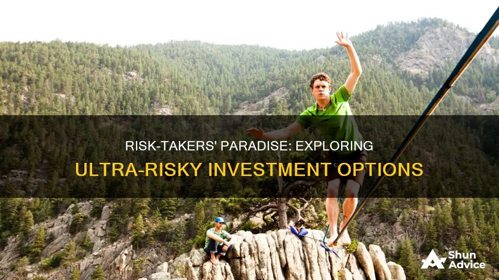 what investment option has the highest risk