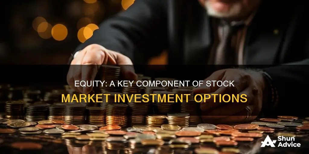 what investment option is equity a part of