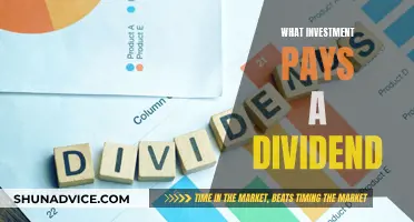 Understanding Dividends: A Guide to Unlocking the Power of Dividend-Paying Investments