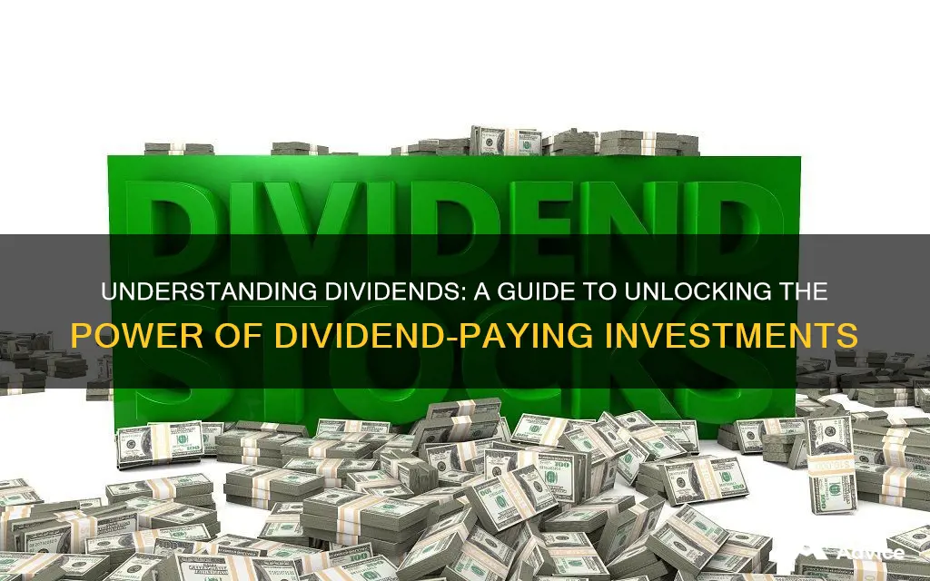 what investment pays a dividend