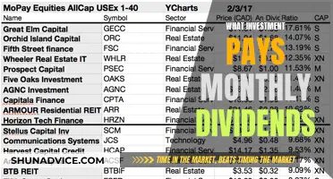 Monthly Dividend Payers: Smart Investment or Trap?