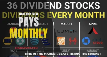 Monthly Cash Flow: Exploring Regular-Income Investments