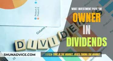 Dividend Rewards: Exploring the World of Investment Dividends