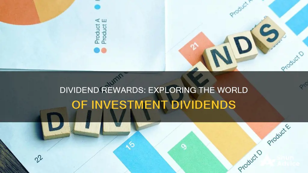 what investment pays the owner in dividends