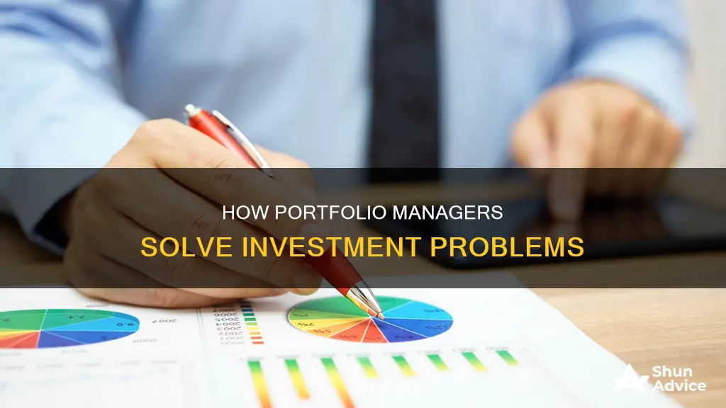 what investment problems do portfolio managers solve