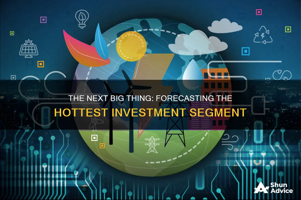 what investment segment will be hot