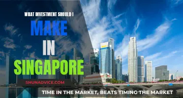 Invest Wisely in Singapore: Where Should Your Money Go?