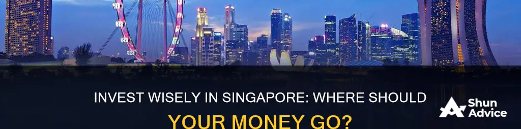 what investment should I make in singapore