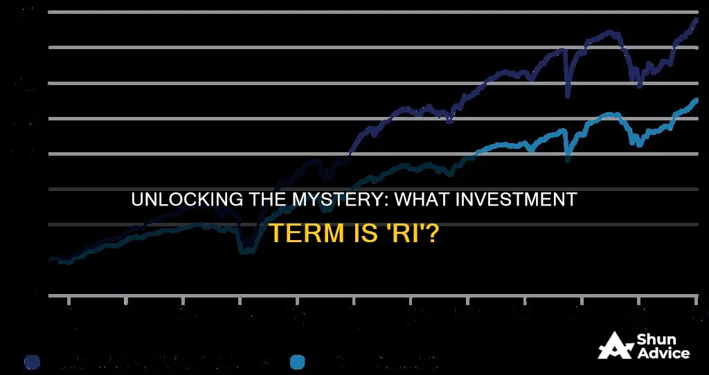 what investment term is ri