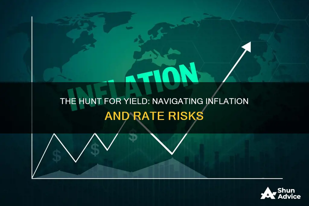 what investment will do better in rising rate and inflation