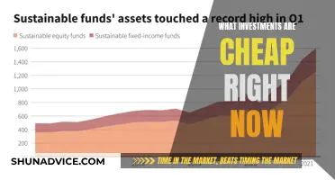 Investments: What's Cheap Now?