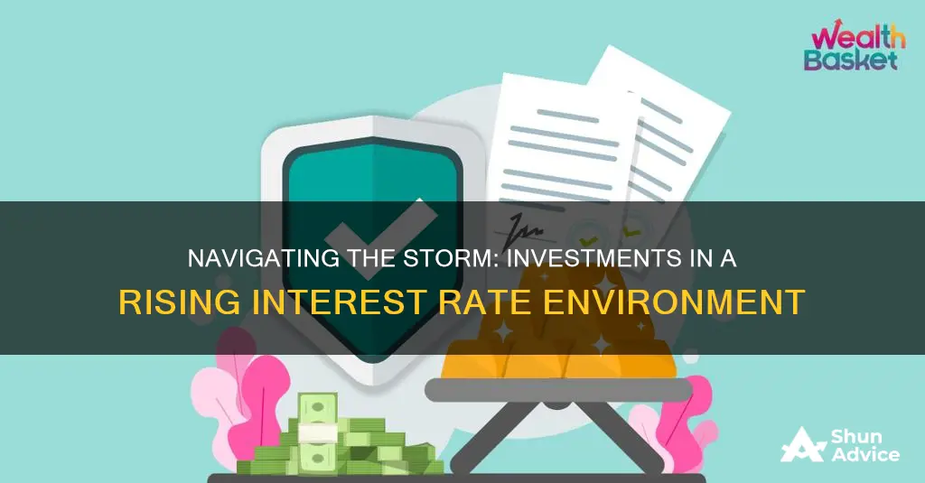 what investments correlate with rising interest rate environment