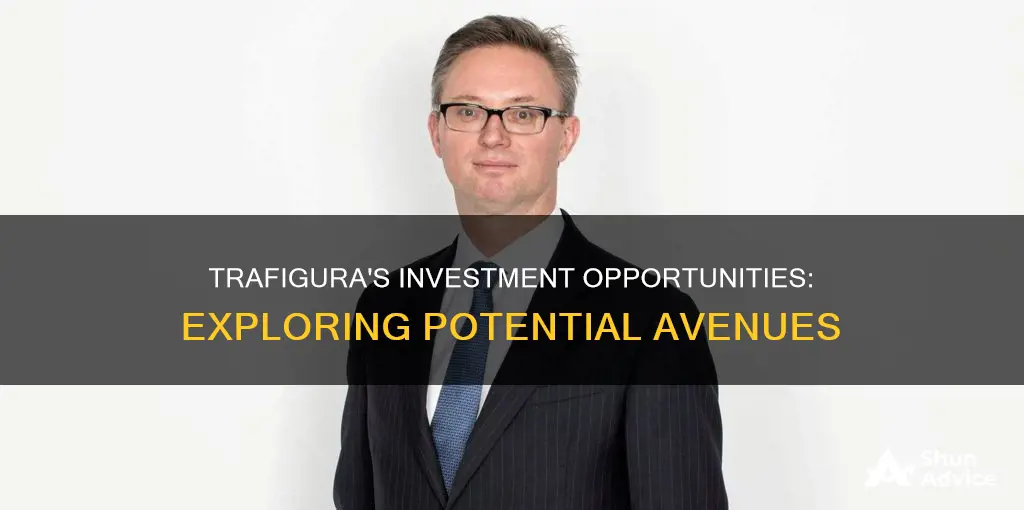 what investments could trafigura make