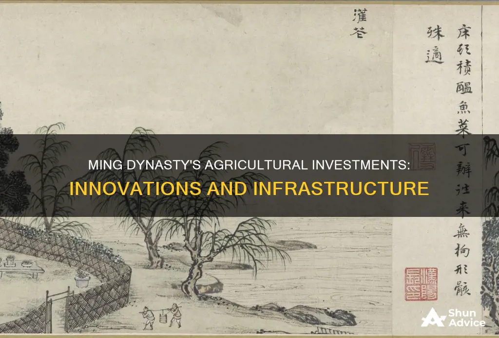 what investments did the ming dynasty make in agriculture