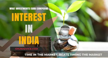 Unleash the Power of Compound Interest: Top Indian Investment Options