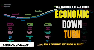 Strategic Investments: Navigating Economic Downturns Wisely