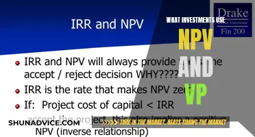 Understanding NPV and VP: Where These Tools Apply