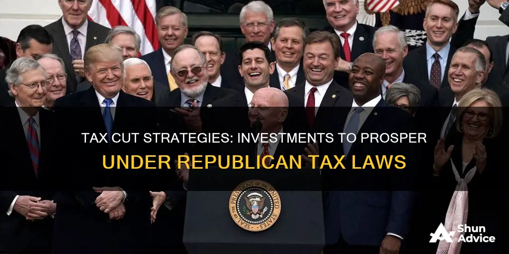 what investments will prosper under the republicantax cuts