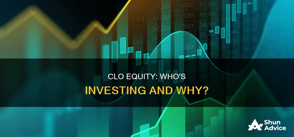 what invests in a clo equity