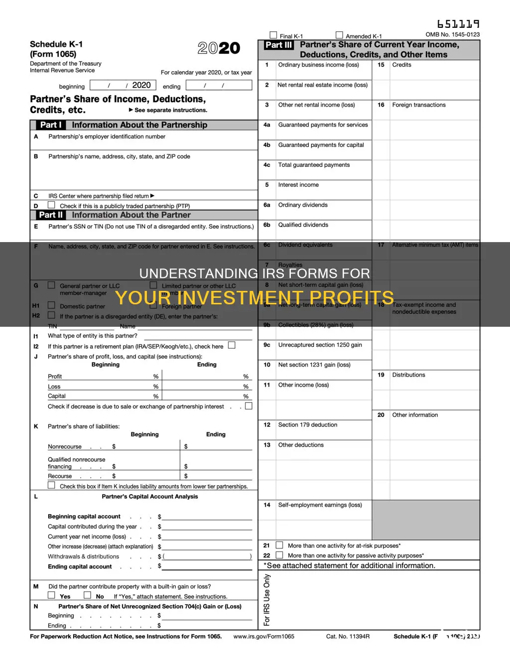 what irs forms to use for investment profit