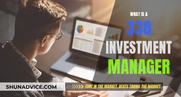 Understanding Investment: 338 Investment Managers and Their Role