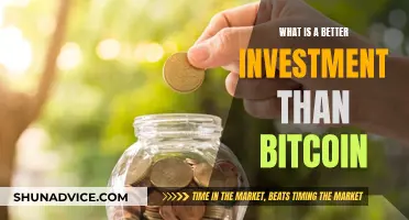 Investments Worthy of Your Money: Alternatives to Bitcoin