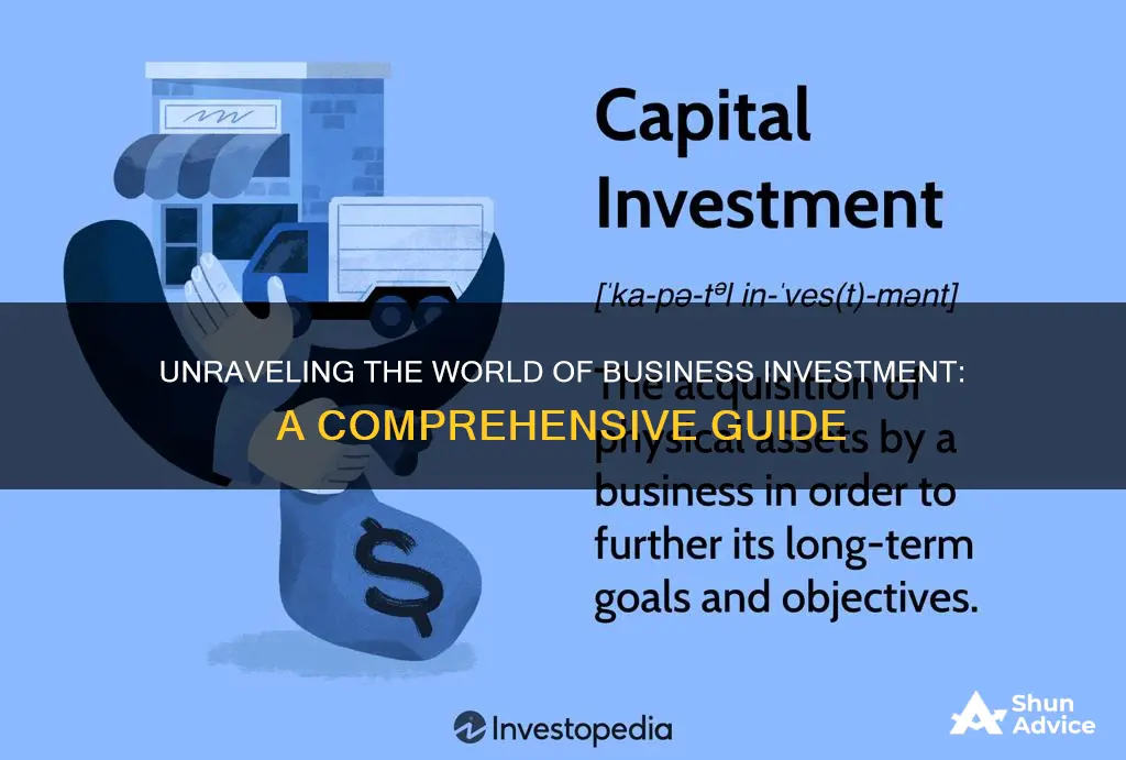 what is a business investment and how does it work