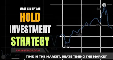 Buy and Hold: A Long-Term Investment Companion