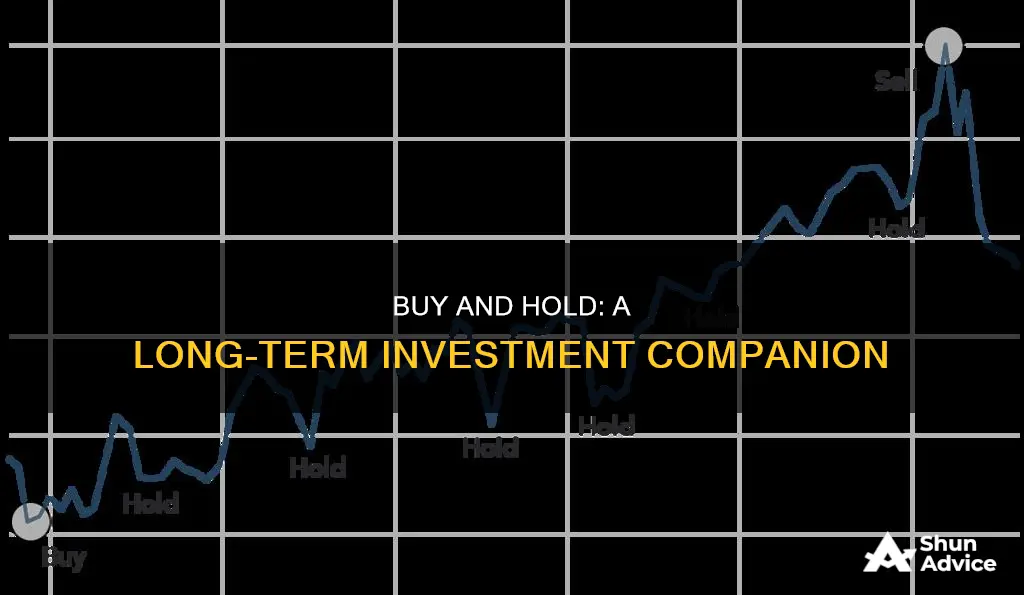 what is a buy and hold investment strategy