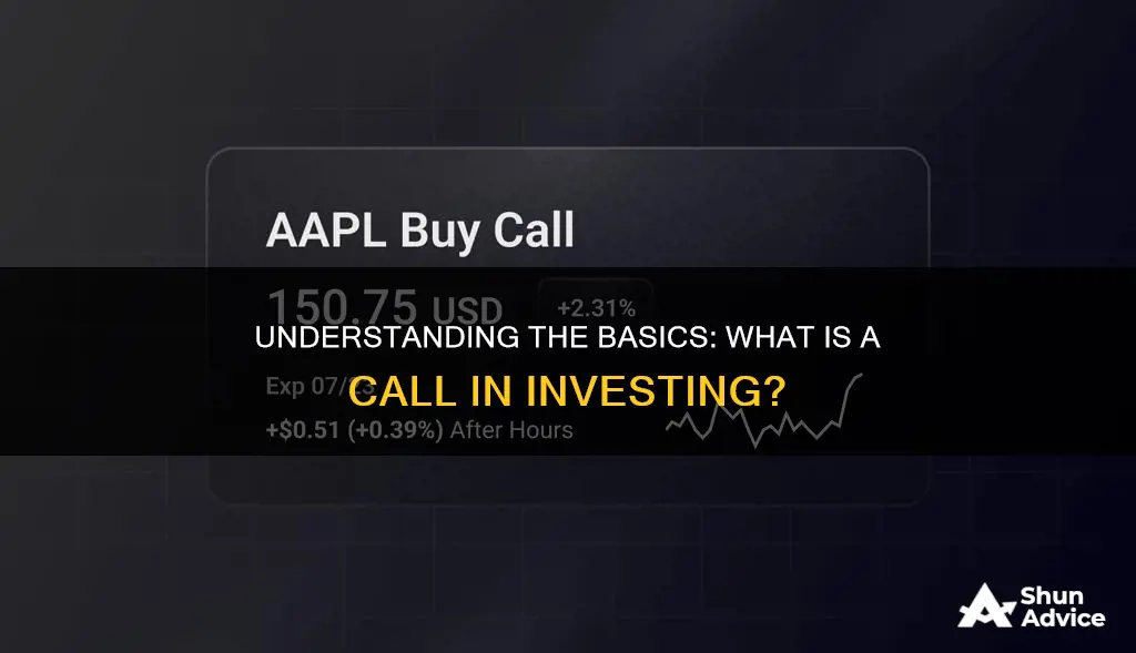 what is a call in terms of investments