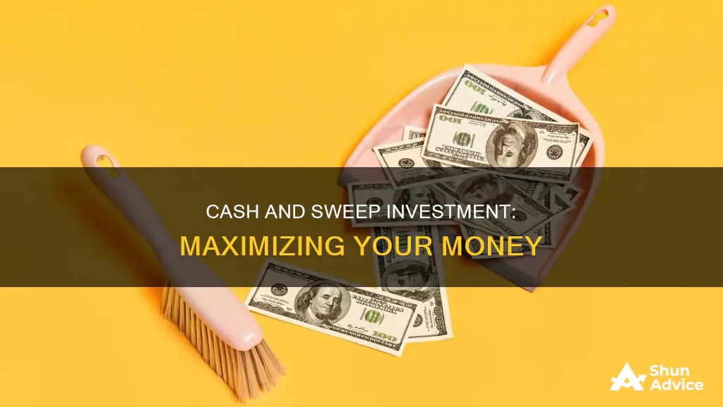 what is a cash and sweep investment