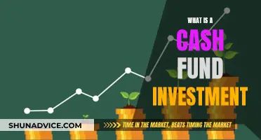 Cash Fund Investment: What You Need to Know