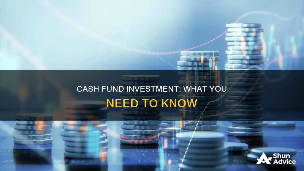 what is a cash fund investment