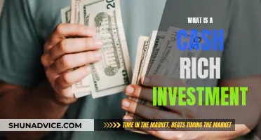 Cash-Rich Investments: Strategies for Financial Freedom