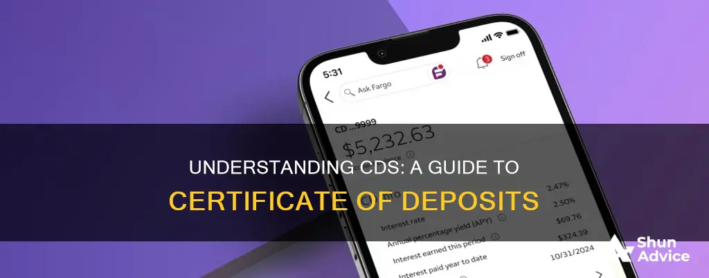 what is a cd in investment terms