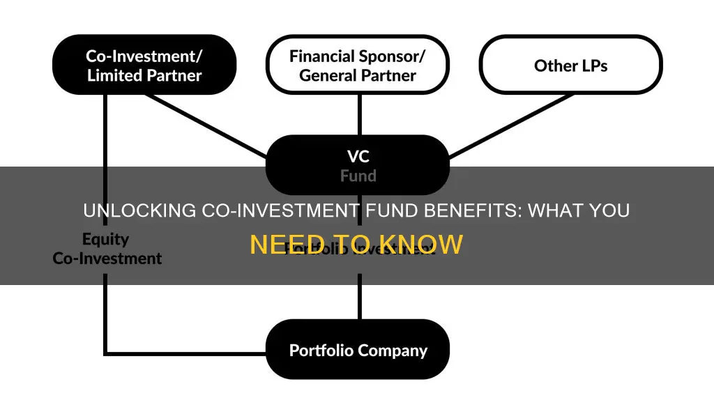 what is a co investment fund