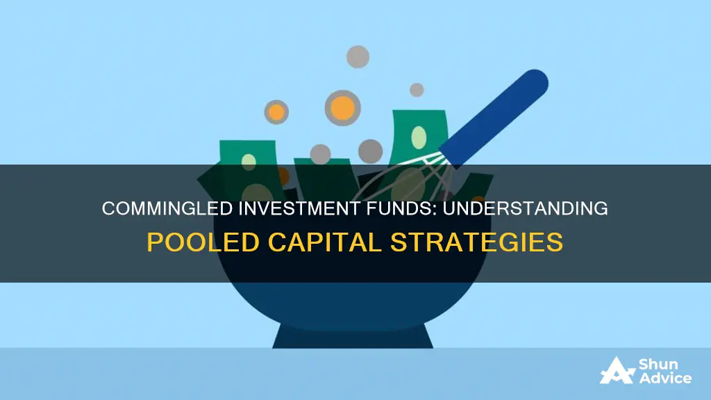 what is a commingled investment fund