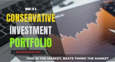 Conservative Investment Portfolios: Playing it Safe