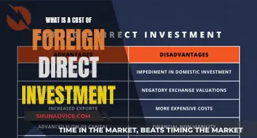 Understanding the True Cost of Foreign Direct Investment