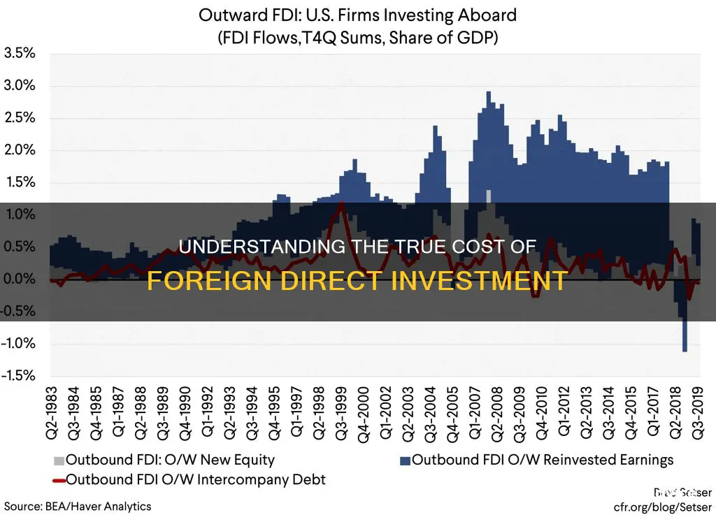 what is a cost of foreign direct investment