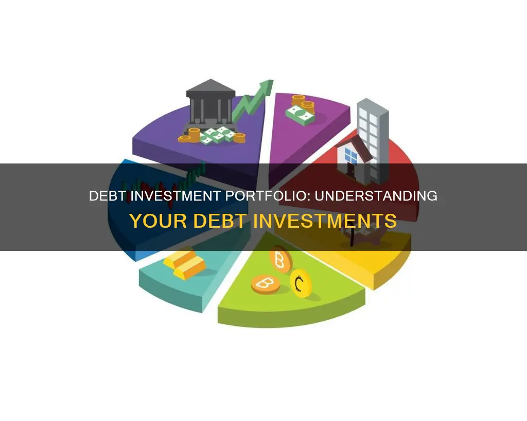 what is a debt investment portfolio