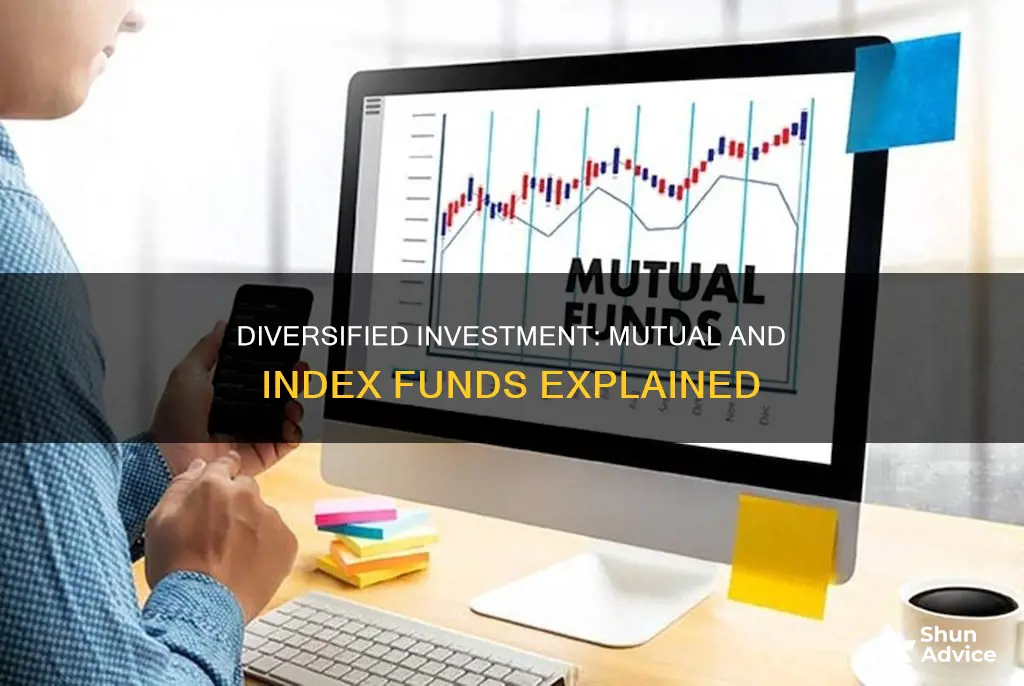 what is a diversified investment mutual or index fund