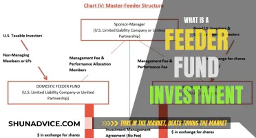 Feeder Fund Investment: Understanding the Basics