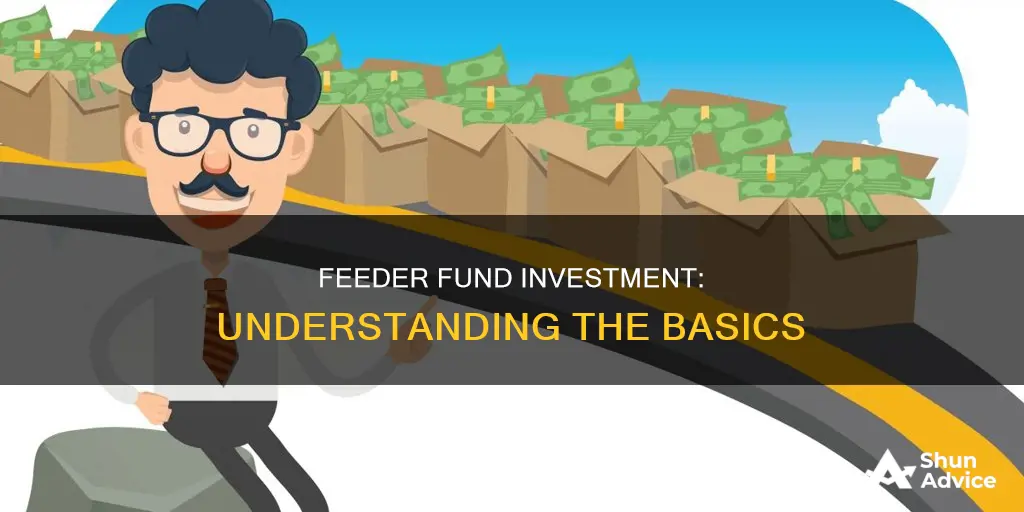 what is a feeder fund investment