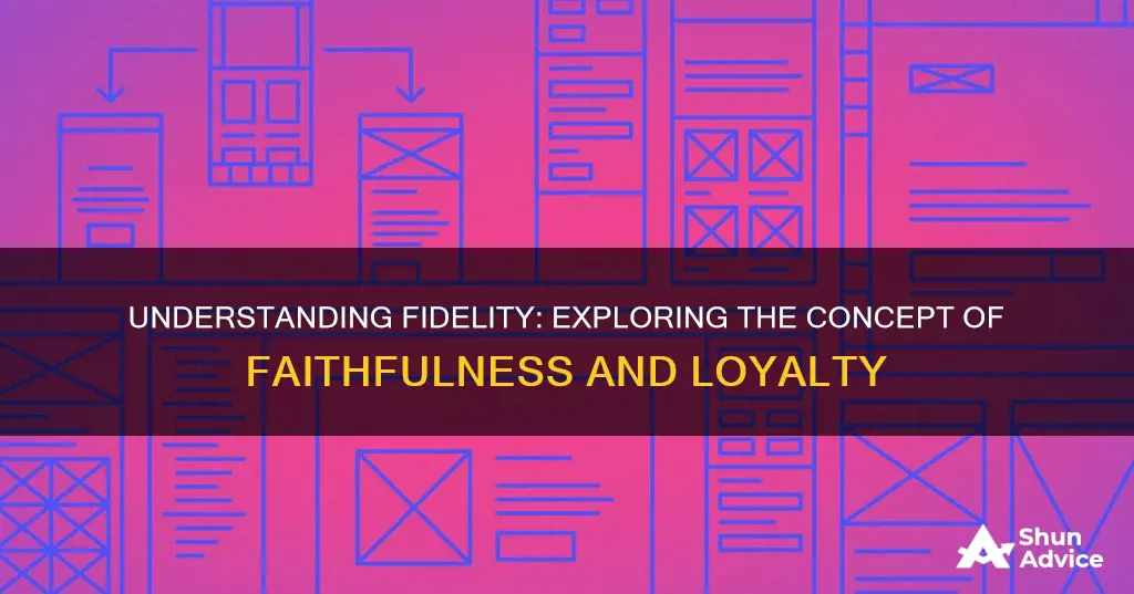 what is a fidelity