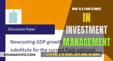 Flash Estimates: Investment Management's Quick Insights