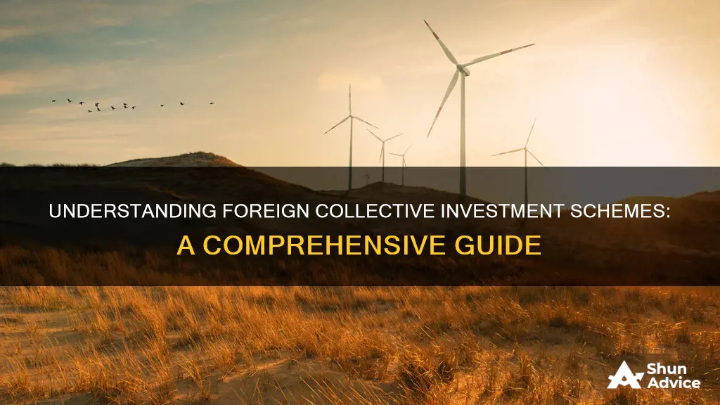 what is a foreign collective investment scheme