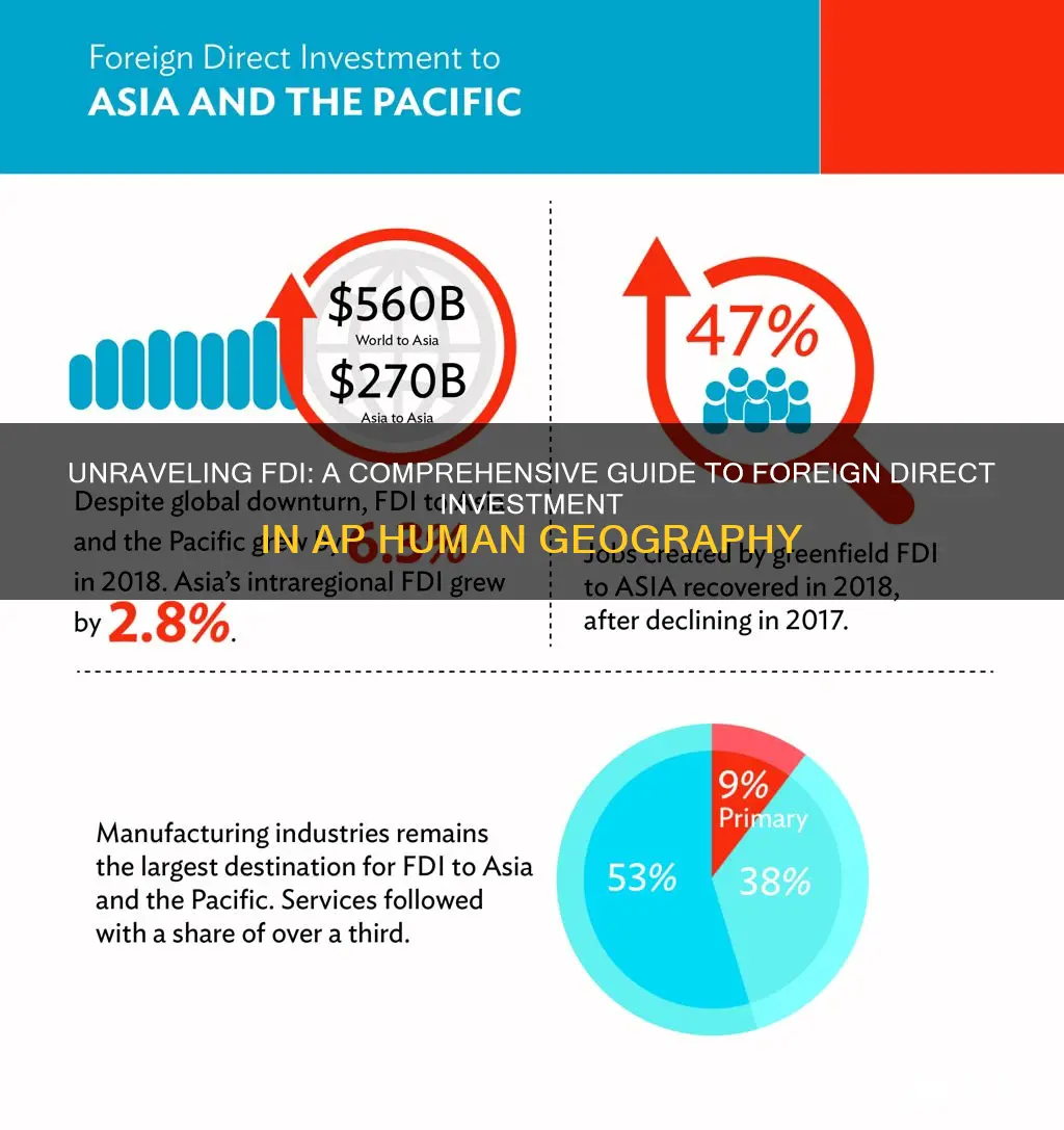 what is a foreign direct investment ap human geography