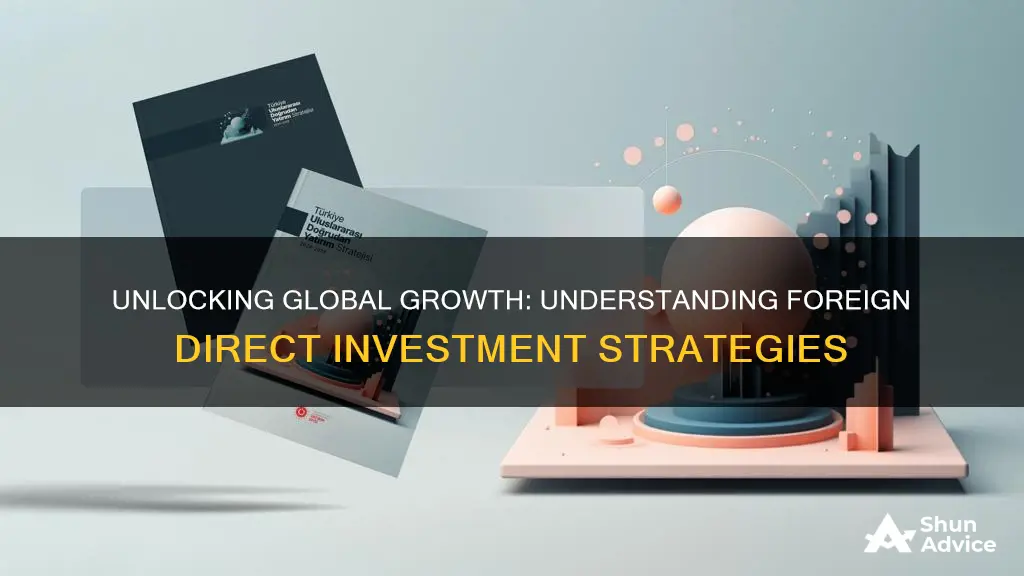 what is a foreign direct investment strategy