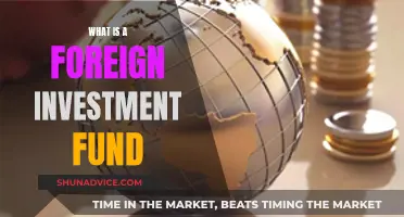 Foreign Investment Funds: Global Money Pools Explained